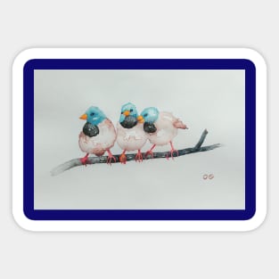 Australian Black-throated Finches, bird art Sticker